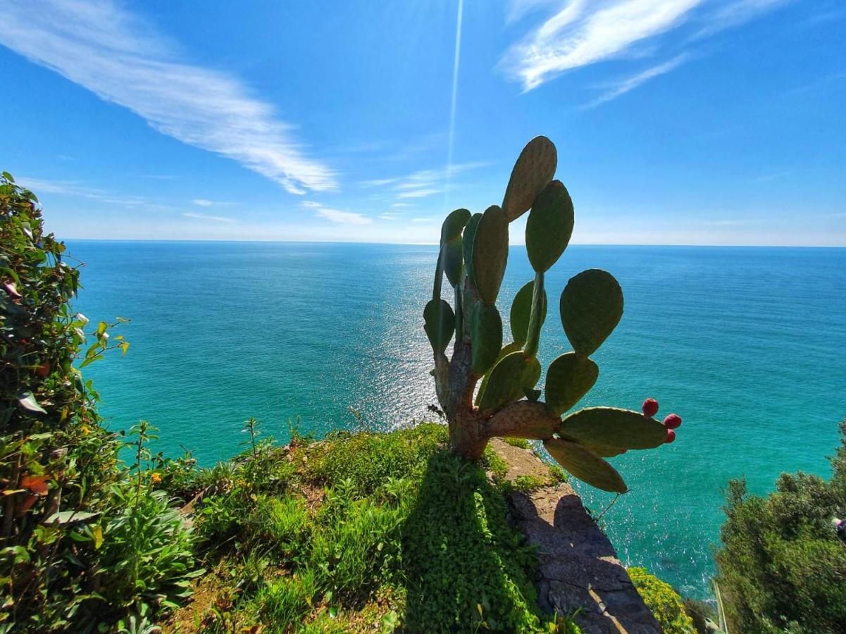 Apartmán La Terrazza Sul Blu Corniglia Exteriér fotografie