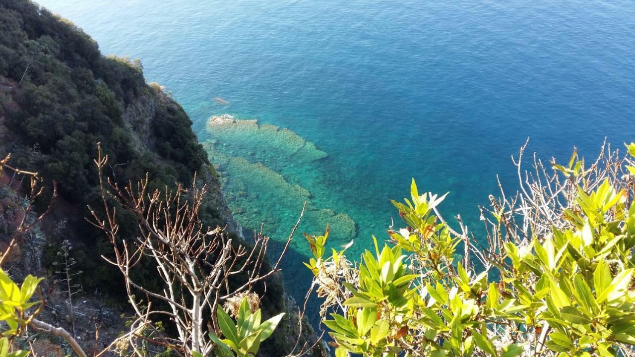Apartmán La Terrazza Sul Blu Corniglia Exteriér fotografie